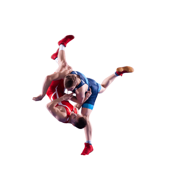 app中心-世界杯预测